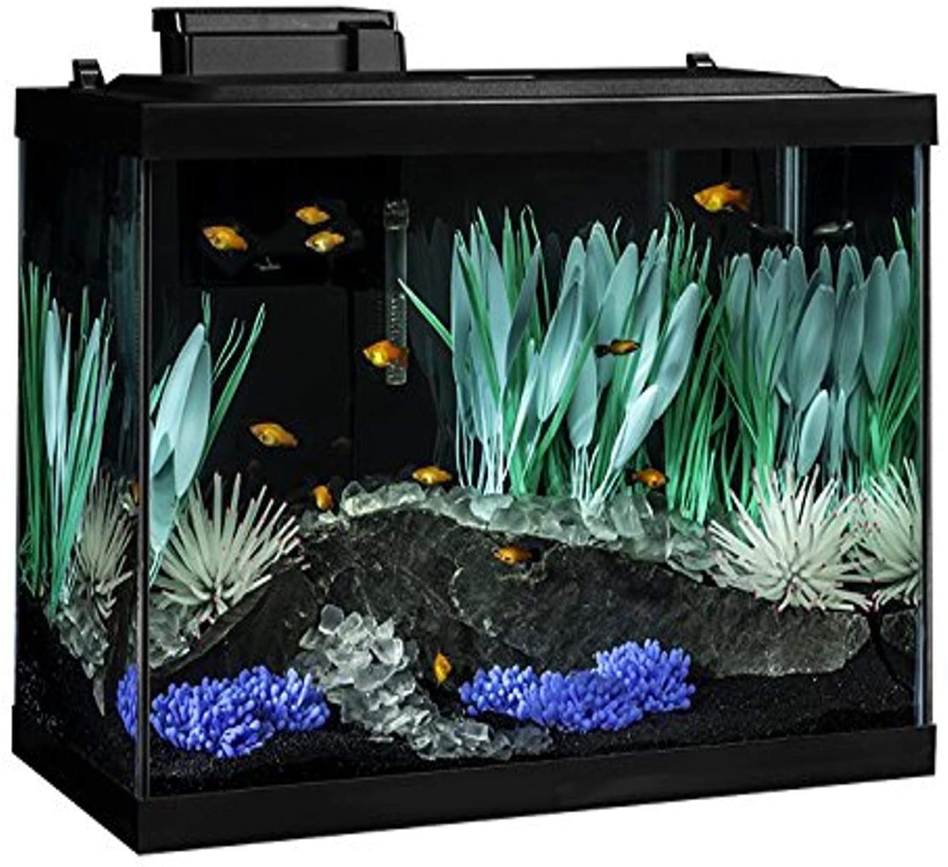 Tetra colorfusion aquarium 20 gallon fish tank kit, includes led