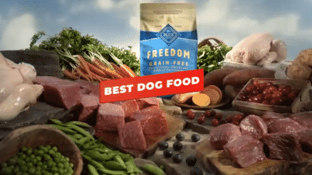 Best Dog Food With Grains Reviews In 2024