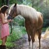 8 Ways To Conveniently Lower Your Horse’s Stress and anxiety