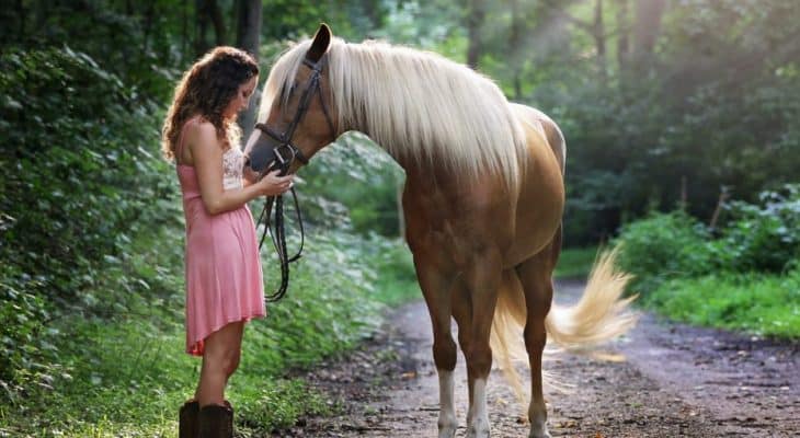 8 Ways To Conveniently Lower Your Horse’s Stress and anxiety