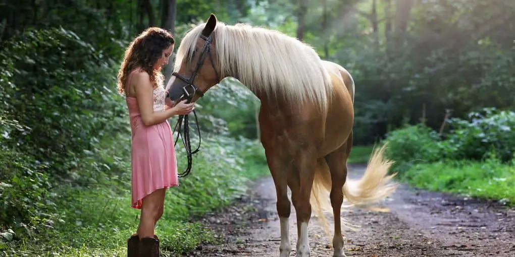 8 Ways To Conveniently Lower Your Horse's Stress and anxiety