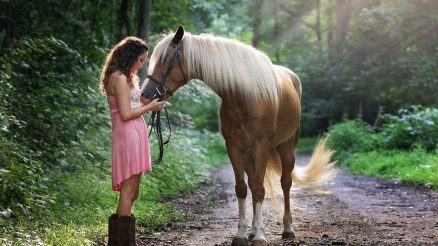 How to Choose the Right food for Your Horse